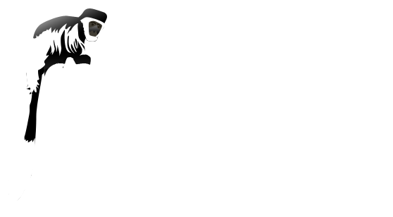 Colobus Tours